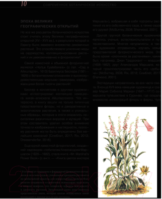 Книга Эксмо Современное ботаническое искусство (Алешина А.)