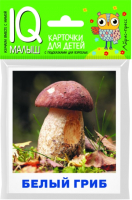 

Развивающие карточки Айрис-пресс, Умный малыш. Грибы наших лесов