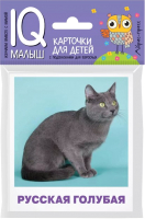 

Развивающие карточки Айрис-пресс, Умный малыш. Породы кошек