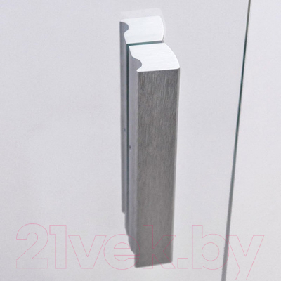 Душевая дверь Roth LZDO1/120+LZ (хром/прозрачное стекло)