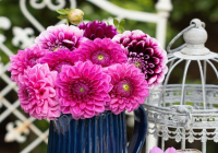 Набор алмазной вышивки РЫЖИЙ КОТ Цветы насыщенного цвета в саду на столике / F1-034 - 
