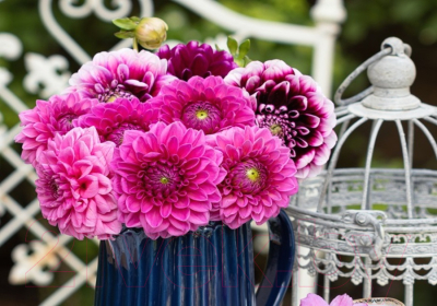 Набор алмазной вышивки РЫЖИЙ КОТ Цветы насыщенного цвета в саду на столике / F1-034