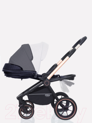 Детская универсальная коляска MOWbaby Zoom PU 2 в 1 / RA086 (Gold Black)