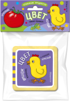 

Развивающая книга Айрис-пресс, Мини-книжки. Цвет