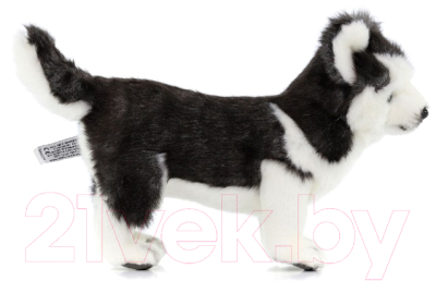 Мягкая игрушка Hansa Сreation Собака сибирский хаски, черно-белый щенок / 6970 (20см)