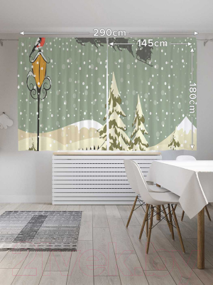 Изображение товара Комплект штор JoyArty Санта в пути / p_5528 (145x180)