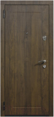Входная дверь Staller Comfort Ален (96x205, левая)