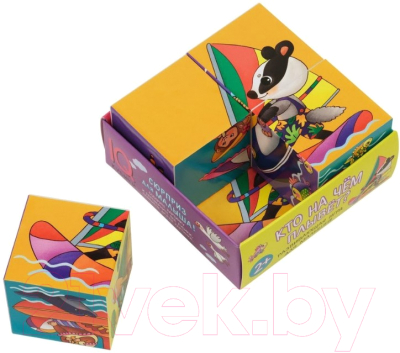 Изображение товара Развивающая игра Айрис-пресс Умные кубики в поддончике. Кто на чем плывет? / 9785811270453