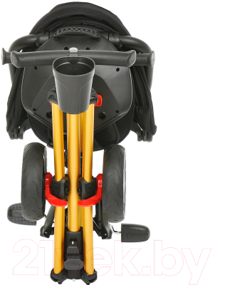 Изображение товара Трехколесный велосипед с ручкой QPlay Nova Plus / S700 (черный/золото)