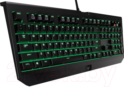 Клавиатура Razer BlackWidow Ultimate RZ03-01703600-R3R1