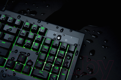 Клавиатура Razer BlackWidow Ultimate RZ03-01703600-R3R1