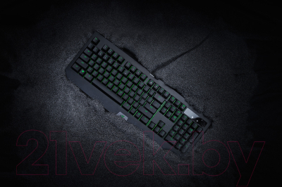 Клавиатура Razer BlackWidow Ultimate RZ03-01703600-R3R1