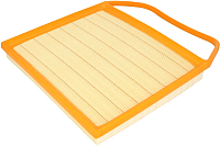 

Воздушный фильтр, C36004