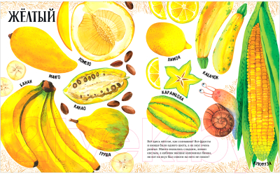 Развивающая книга CLEVER Приключения улитки Элли в мире фруктов и овощей