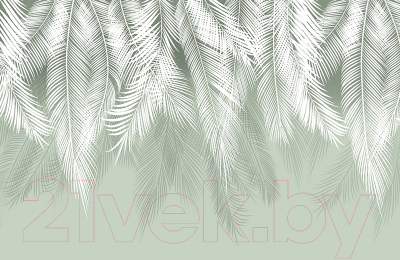 Фотообои листовые Citydecor Пальмовые листья (400x260, олива)