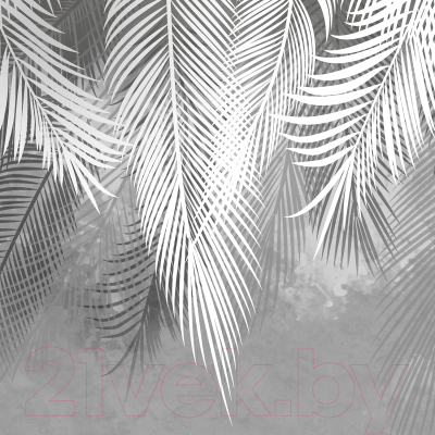 Фотообои листовые Citydecor Пальмовые листья (500x260, серый гранж)