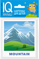

Развивающие карточки Айрис-пресс, Умный малыш. English. Природа