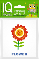 

Развивающие карточки Айрис-пресс, Умный малыш. English. Растения