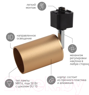 Трековый светильник ЭРА TR14-GU10 SG MR16 / Б0044321 (сатин золото)