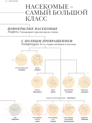 Книга МИФ Поразительные насекомые (Россел Б.)