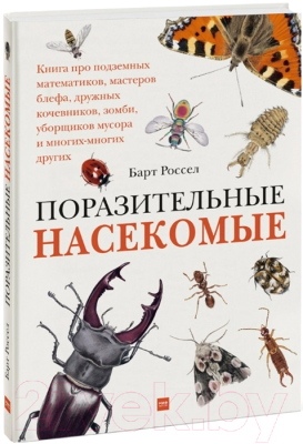 Книга МИФ Поразительные насекомые (Россел Б.)