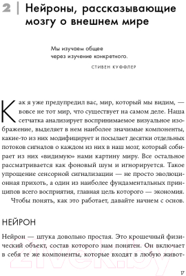 Книга Альпина Как мы видим? Нейробиология зрительного восприятия (Маслэнд Р.)