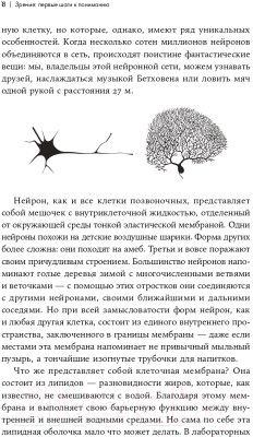 Книга Альпина Как мы видим? Нейробиология зрительного восприятия (Маслэнд Р.)