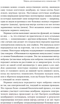 Книга Альпина Как мы видим? Нейробиология зрительного восприятия (Маслэнд Р.)