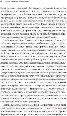 Книга Альпина Как мы видим? Нейробиология зрительного восприятия (Маслэнд Р.)