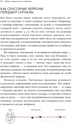 Книга Альпина Как мы видим? Нейробиология зрительного восприятия (Маслэнд Р.)