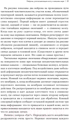 Книга Альпина Как мы видим? Нейробиология зрительного восприятия (Маслэнд Р.)