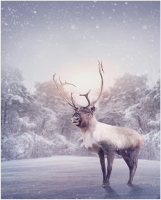 

Скатерть JoyArty, Морозный олень / tc_5553