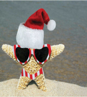 

Скатерть JoyArty, Новогодняя морская звезда / tc_5708