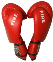 Боксерские перчатки Everfight Fire EBG-536 (искуственная кожа, 8oz) - 