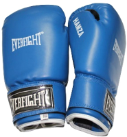 Боксерские перчатки Everfight Hamza EBG-538 (искуственная кожа, 6oz) - 