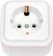 Миниатюра изображения товара Розетка Bylectrica Пралеска РА16-254 / 2.120797 (белый)