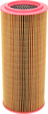 

Воздушный фильтр Mann-Filter, C12104