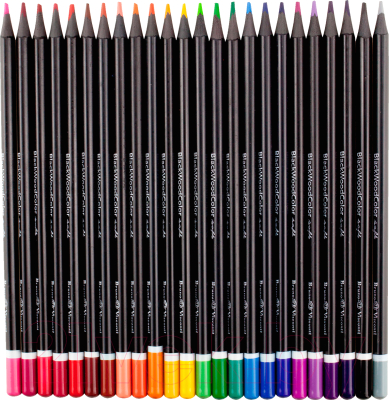 Набор цветных карандашей Bruno Visconti BlackWoodColor / 30-0099 (24цв)