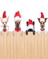 

Скатерть JoyArty, Веселые собачки / tc_20309