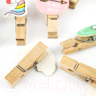 Изображение товара Набор прищепок декоративных Darvish Мечта / DV-H-1078