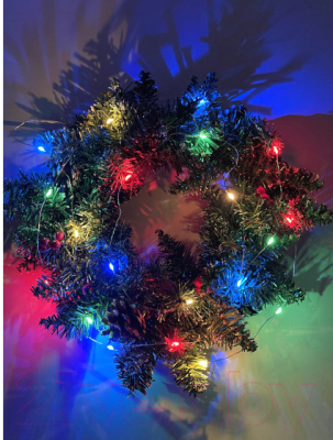 Изображение товара Светодиодная гирлянда ЭРА ENIN-2M / Б0041983