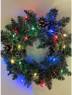 Изображение товара Светодиодная гирлянда ЭРА ENIN-2M / Б0041983