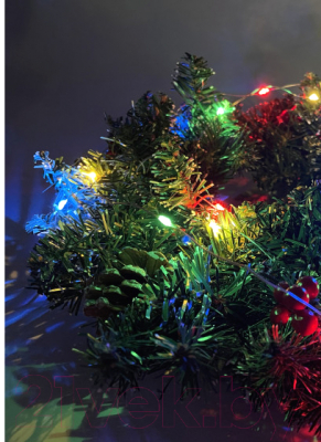 Изображение товара Светодиодная гирлянда ЭРА ENIN-2M / Б0041983