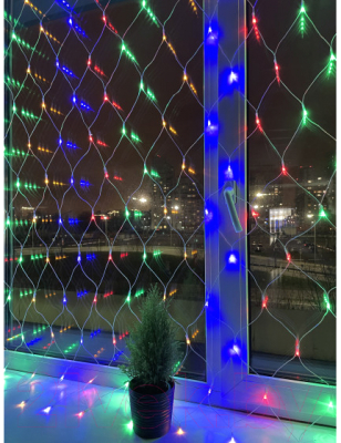 Изображение товара Светодиодная сеть ЭРА ENIS-01M / Б0041901