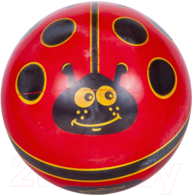 Мяч детский Dema-Stil DS-PP 187