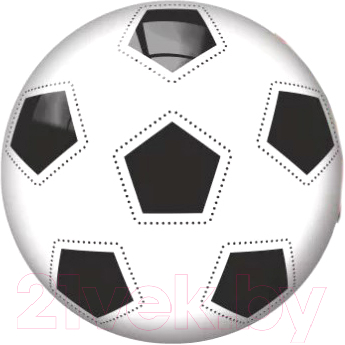 Мяч детский Dema-Stil DS-PV 413