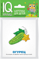 

Развивающие карточки Айрис-пресс, Умный малыш. Загадки