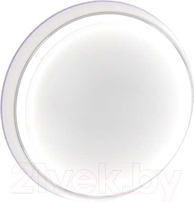 Изображение товара Светодиодная лента Maytoni Led Strip 24В / 10187 (белый)