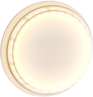 

Светодиодная лента, Led Strip 12В / 10117