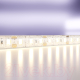 Миниатюра изображения товара Светодиодная лента Maytoni Led Strip 12В / 10117 (белый)